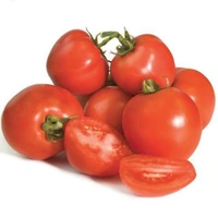 टमाटर - 1 kg