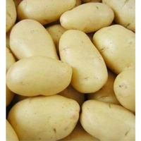 आलु - 1 kg