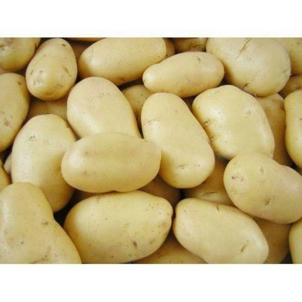 आलु - 1 kg