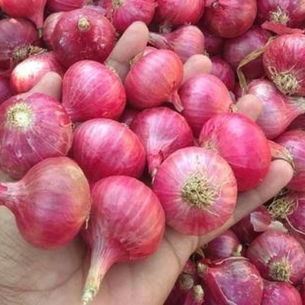 प्याज - 1 kg