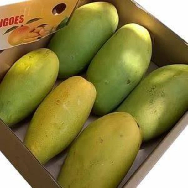 आम दशेरि - Dasheri 1 kg