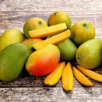 आम केसर - kesar 1 kg