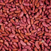 Rajma - 1 kg