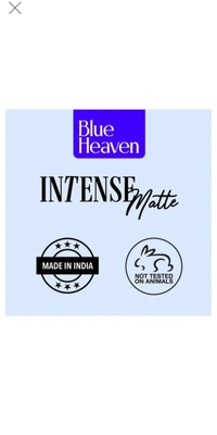 Instense Matte Lipstick - 