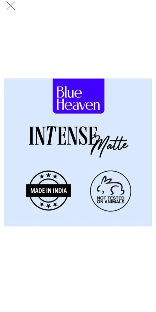 Instense Matte Lipstick - 