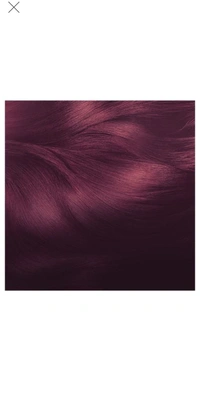 Garnier Natural Hair Colour - Burgundy