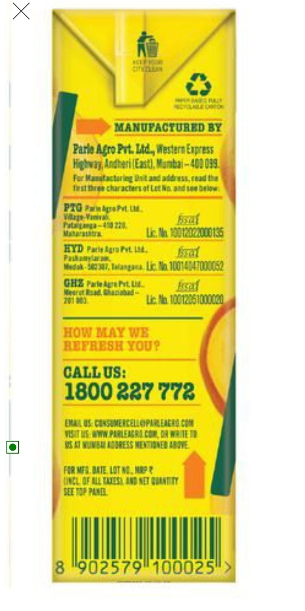 Frooti Juicy Mango - 200 gm