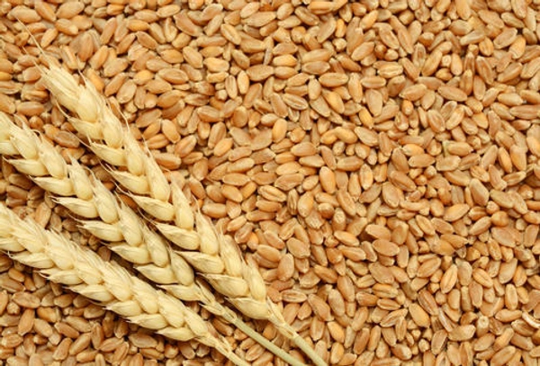 Best quality Om's MP Chakki fresh atta (100% Fresh Atta) -  3Kg