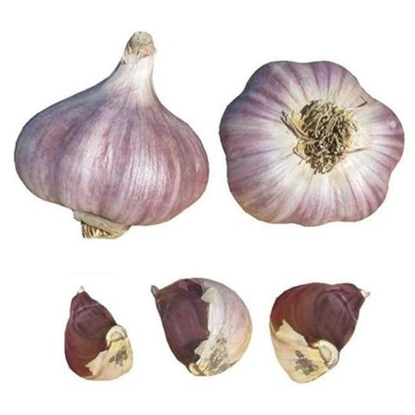 Garlic Red - 250 GM