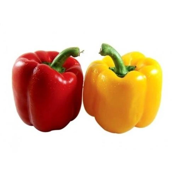 Bell Peppers - 1 Each (2 Pcs, 200 - 300 GM)