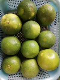 Mausami - 1 KG