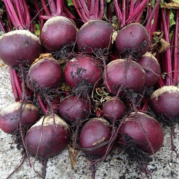Beetroot - 1 KG