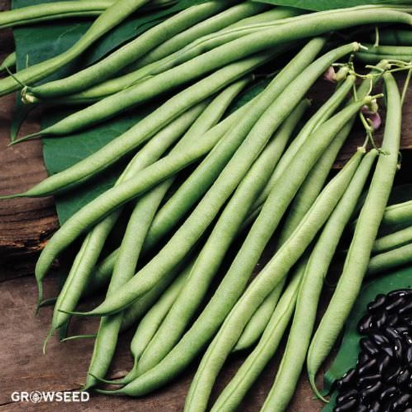 French Beans - 250 GM