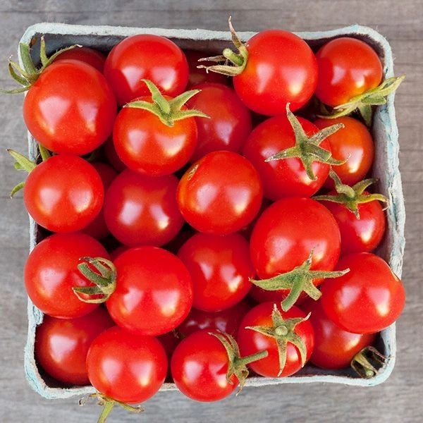 Cherry Tomato Red - 200 GM
