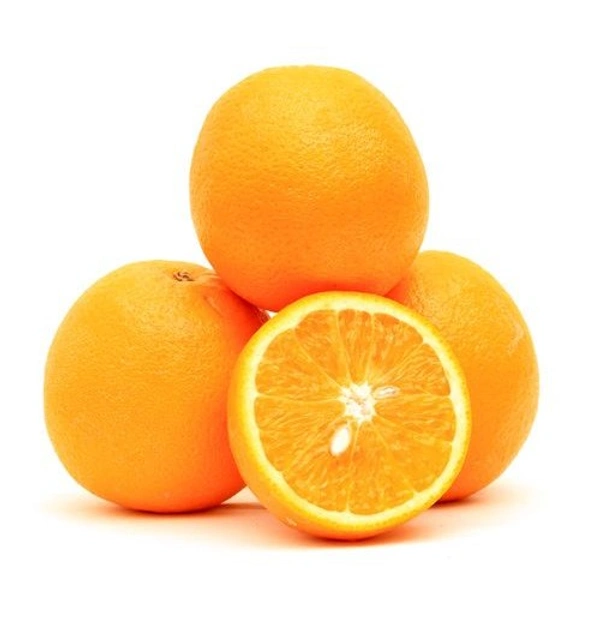 Orange Imported / Malta - 4 Pieces