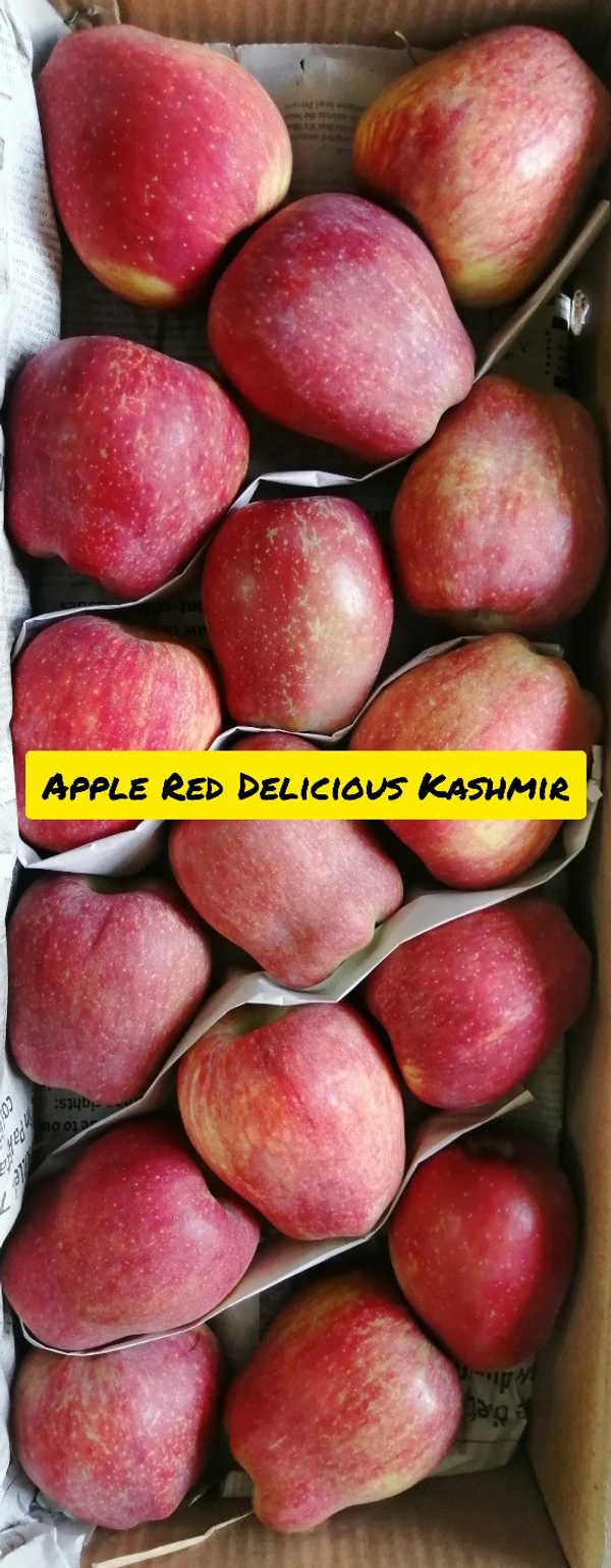 Apple Red Delicious (Kashmir) - 1 KG