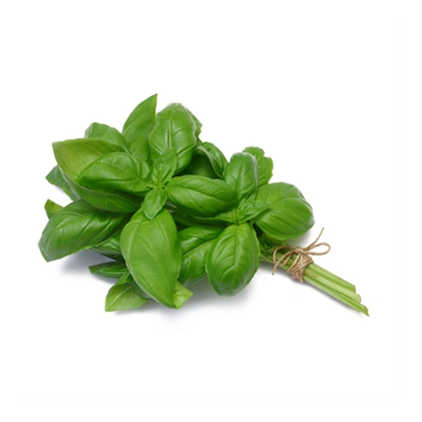 Sweet Basil Italian Leaves - 50 GM