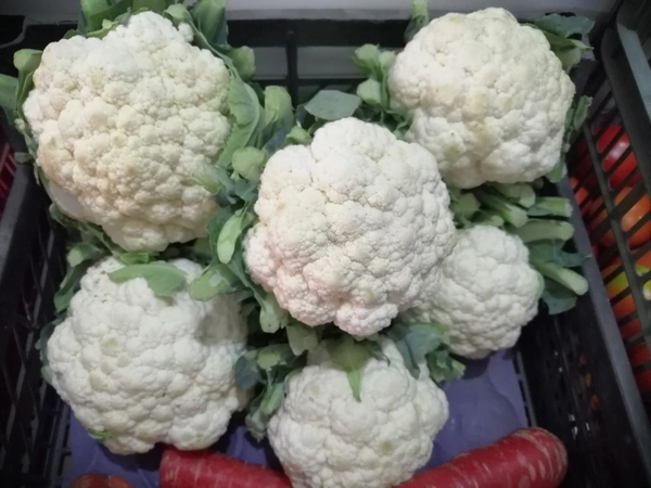 Organic Cauliflower - 1 KG