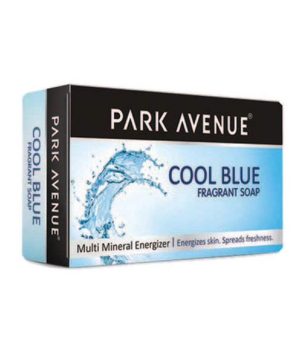 Park Avenue Cool Blue Soap - 125g