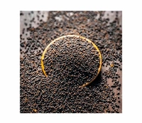 Mother's Choice Small Black Master Seeds Kalo Sorsa 200gm