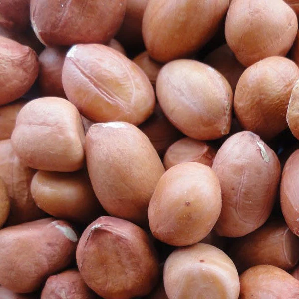 Ground Nuts - వేరుశెనగ గుళ్ళు - 500g