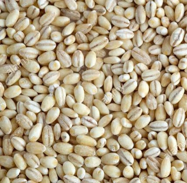 Barley Seeds - బార్లీ గింజలు - 100g