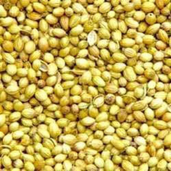 Coriander - దనియాలు - 250g