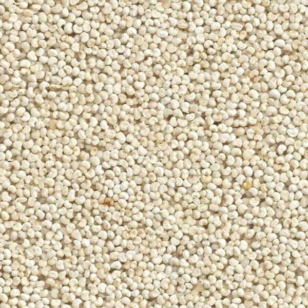 Poppy Seeds - గసగసాలు - 50g