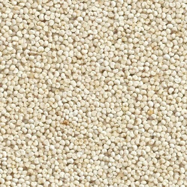 Poppy Seeds - గసగసాలు - 25g