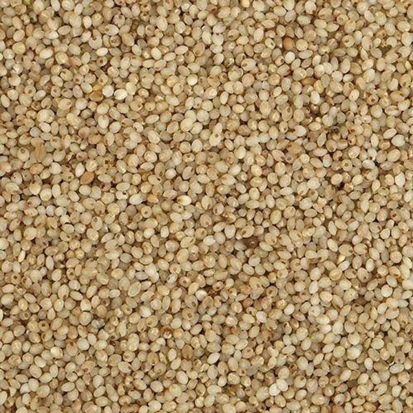 Little Millets - సామలు - 500g