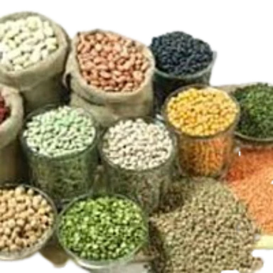 Dals & Pulses