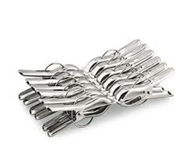 Cloth Clips (Steel) - స్టీల్ బట్టల క్లిప్స్  - 12pc