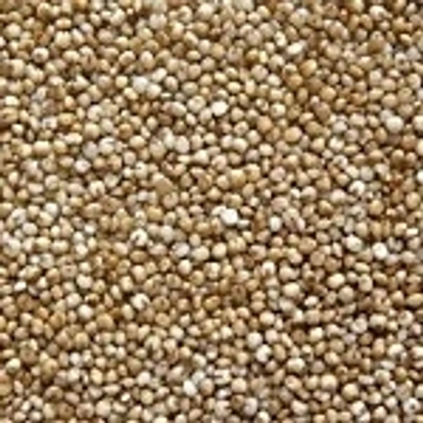 Kodo Millets - అరికెలు - 1 kg