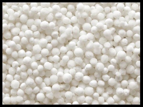 ஜவ்வரிசி  - 1kg 