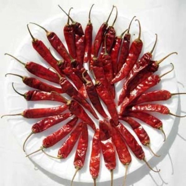 வத்தல் மிளகாய்  , Red Chilli 