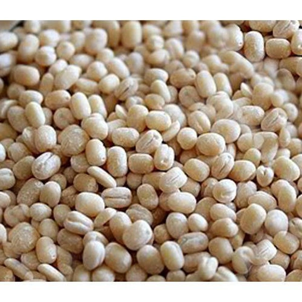 Urad Dal ஊளுந்து தோல் நீக்கியது  - 1kg 