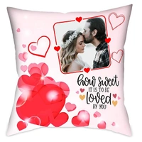 Pillow Print  - 1no 