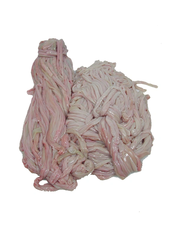 ஆட்டுக்குடல்,Goat Intestine , Attukudal  - 1 No 
