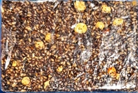 Sesame Candy - எள்ளு மிட்டாய் - 12pcs