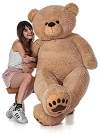 Teddy For You