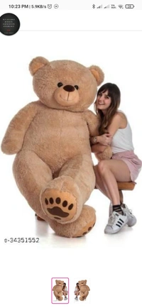 Teddy For You
