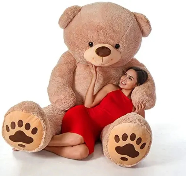 Teddy For You