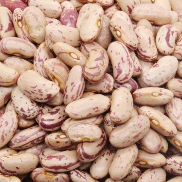 BAAVARCHI   WHITE RAJMA A1 500g 