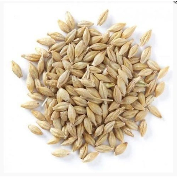 BAAVARCHI  JAV 100g  