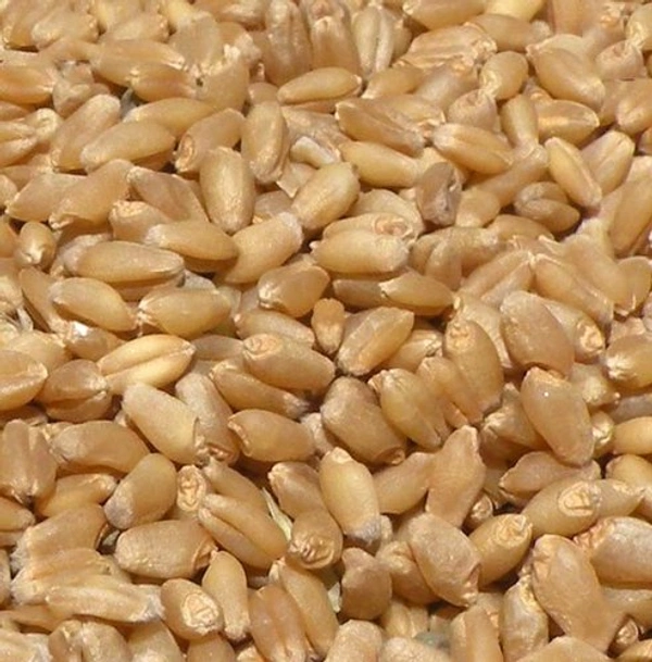 VALLI WHEAT 1KG 