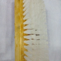 GALA CHANDRA PATLA SOFT 