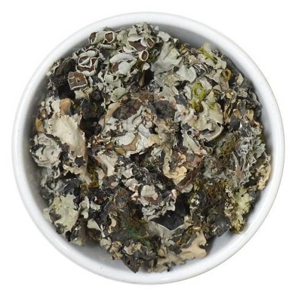 SATYAM DAGADPHUL 20GM