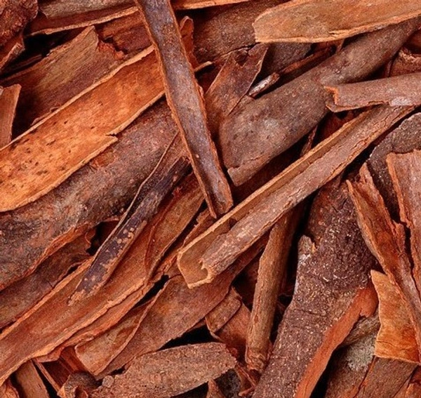 SATYAM CASSIA BARK 20GM
