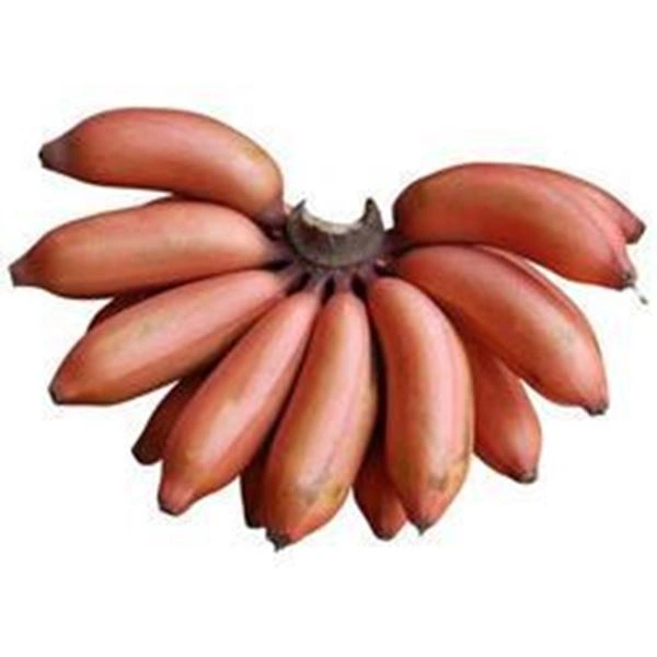 VALLI RED BANANA 1KG
