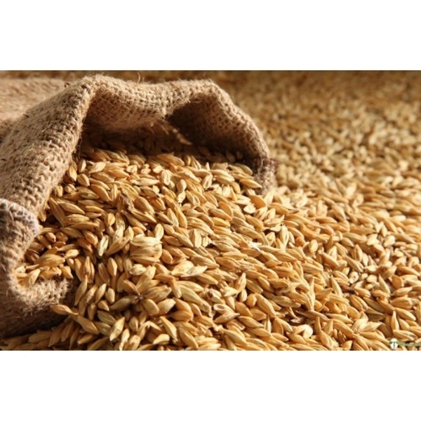 WHEAT 1KG